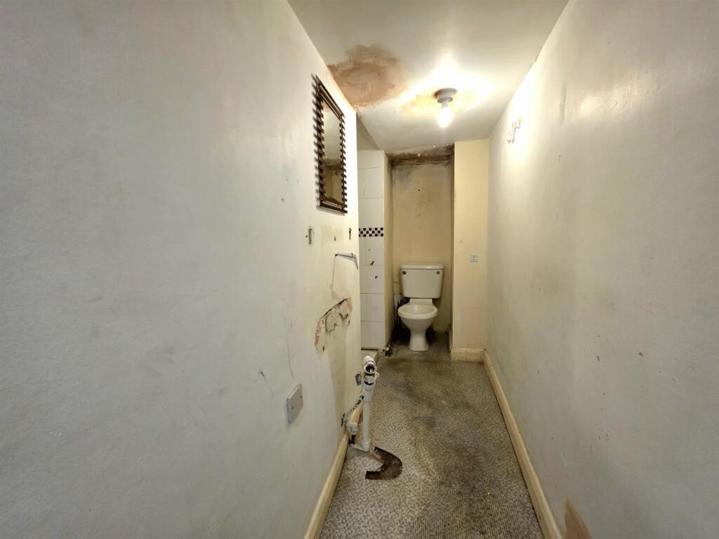 cellar toilet