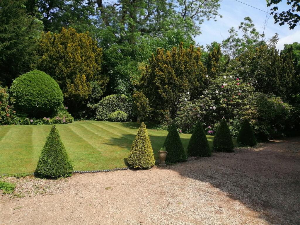 Garden In Summer