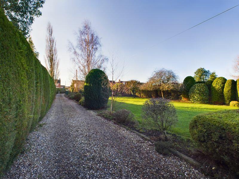 Front garden and driveway