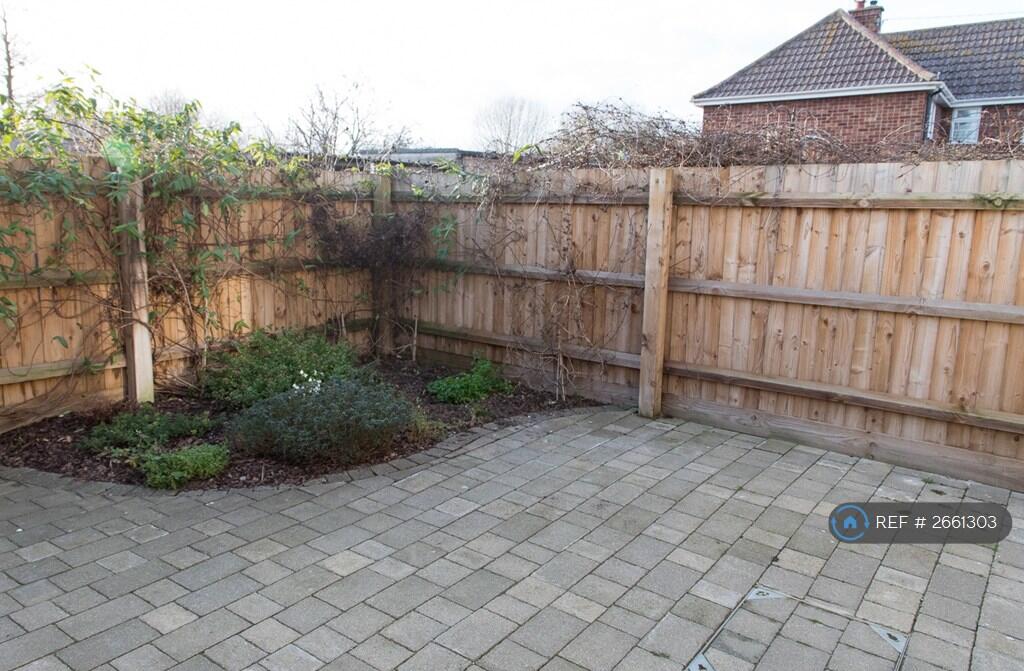 Back Garden