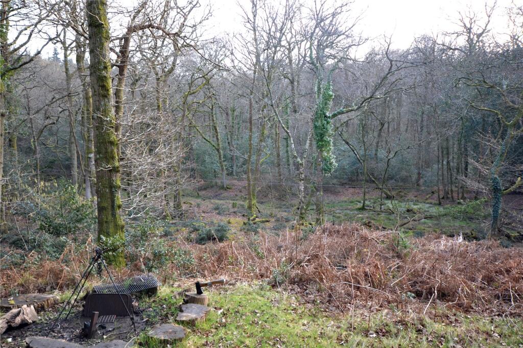 Cloisters Wood