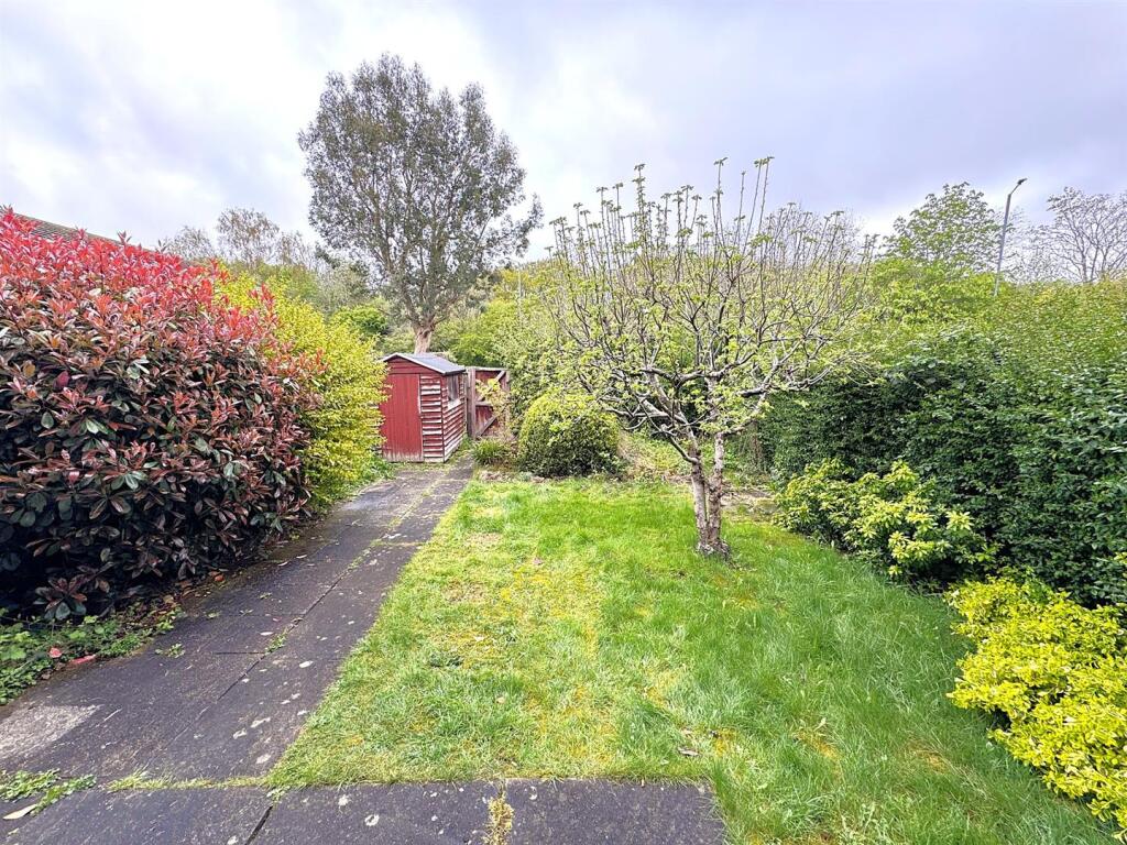 thumbnail_image1 (1).jpg