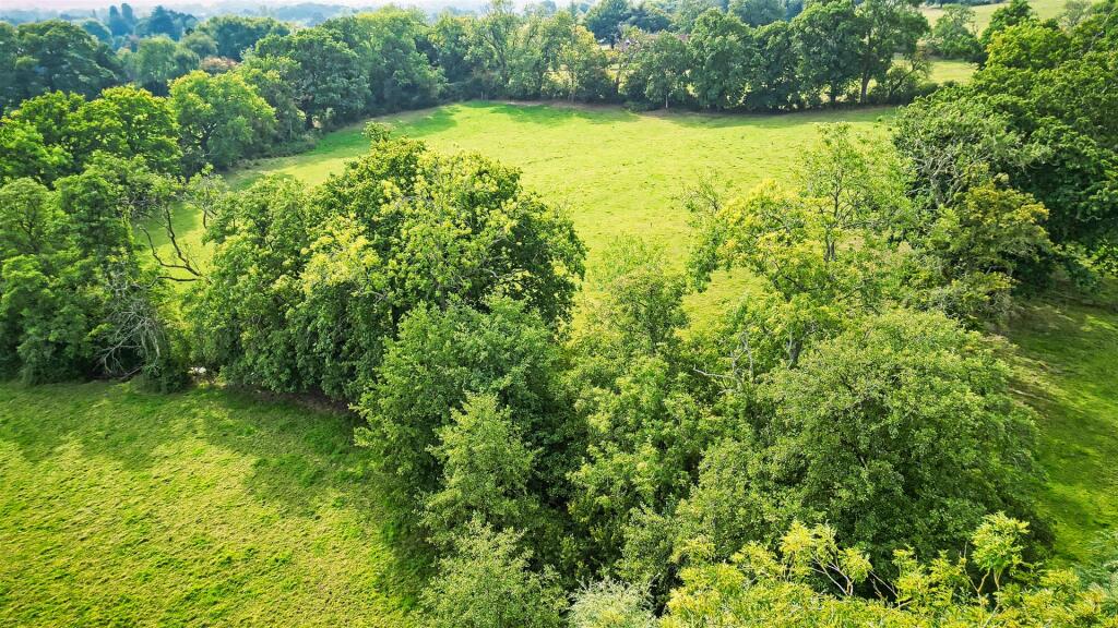 150_RawCast-SBK_South_Ullenhall_B95 5PT_0155.jpeg