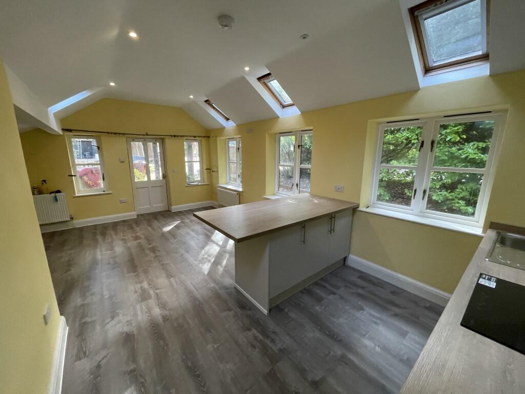 2  Medium  T202510291555.jpg