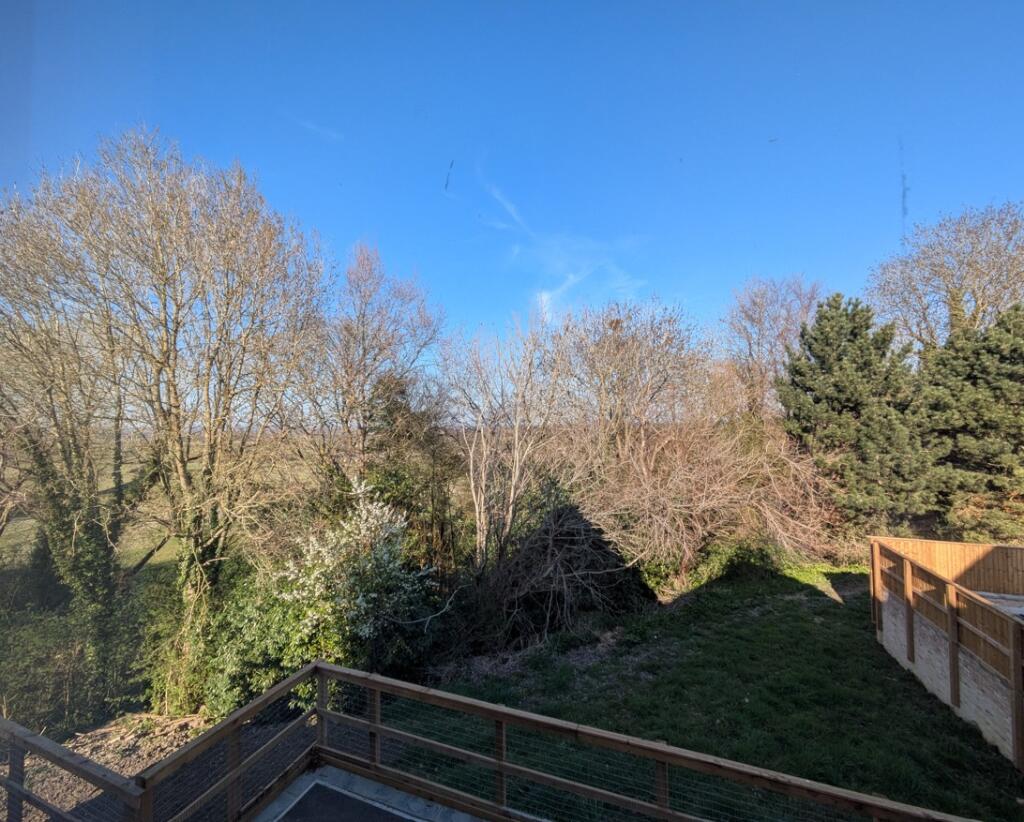 plot11frontview