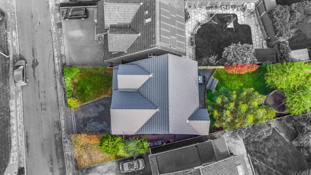 Drone 2_enhanced.jpg