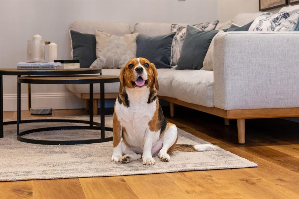 Internal Lifestyle Photograph