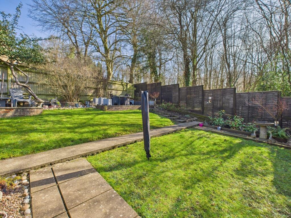 rear garden 2