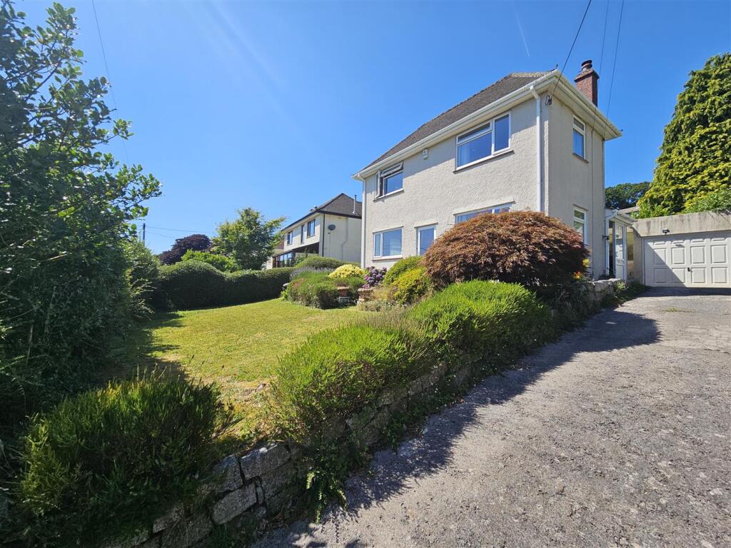 Front Lawn and Drive.jpg