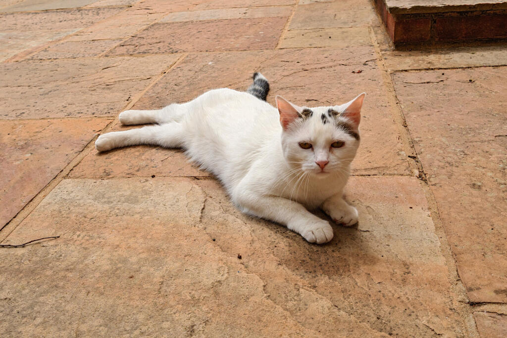 1325588-23-687655...