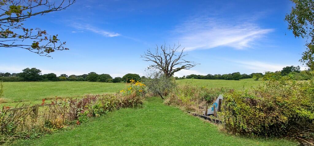 BACKS FARMLAND