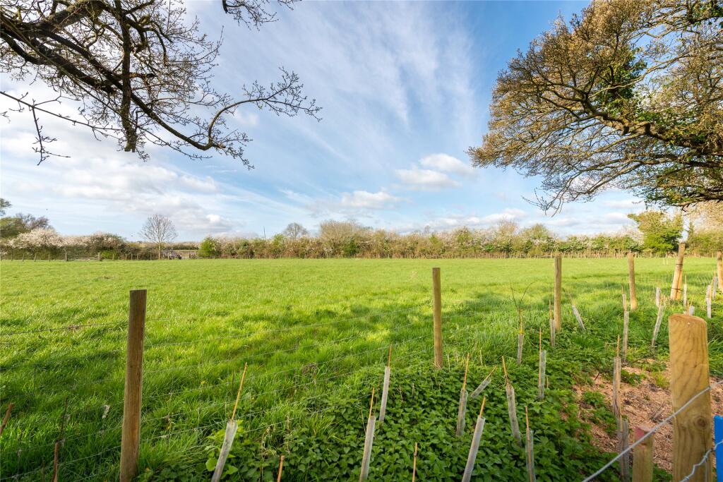 Fields Behind Garden