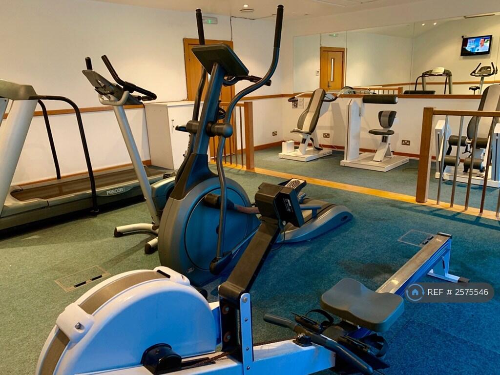 Gymnasium