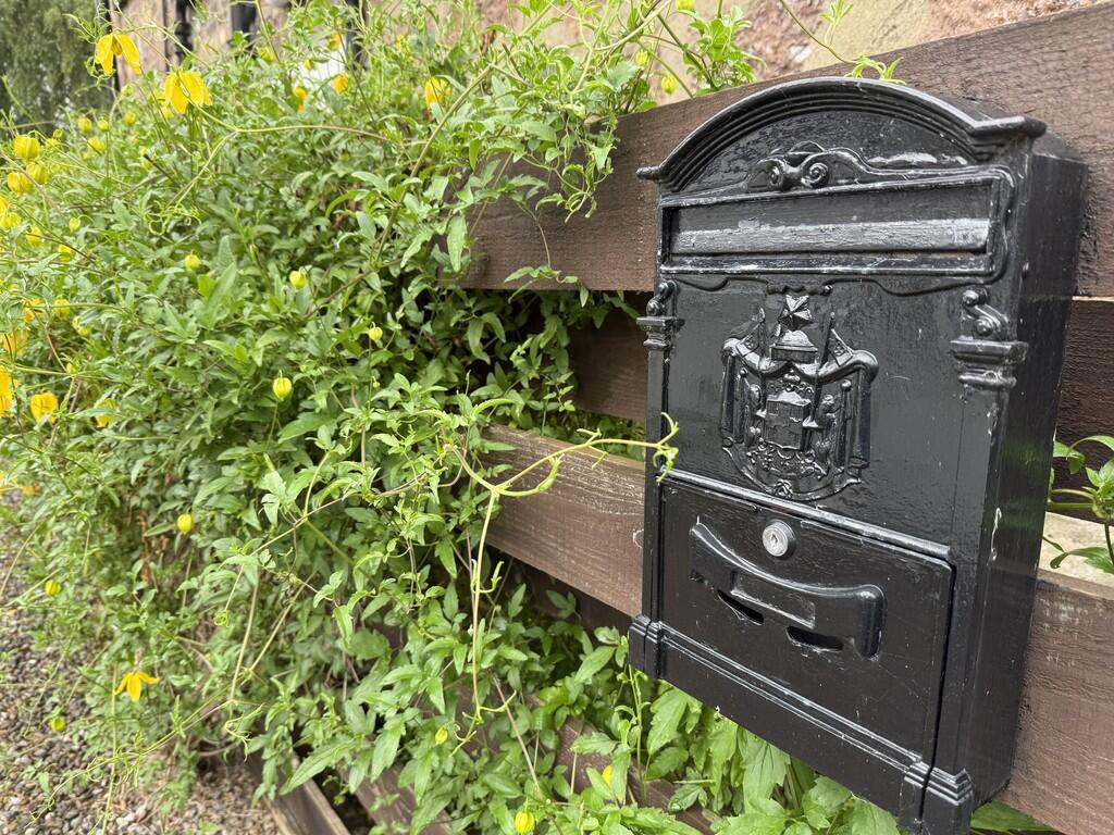 IMG_8068