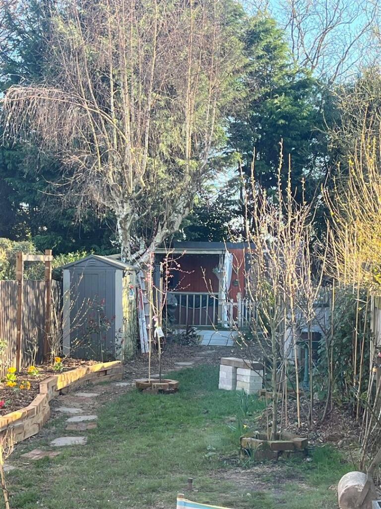 256 Derby Road Garden 2.jpg