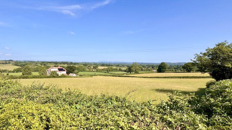 View from Seating Area
