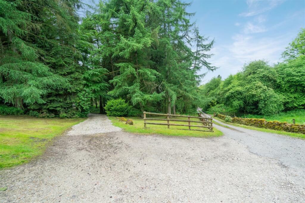 Garden extended-9.jpg