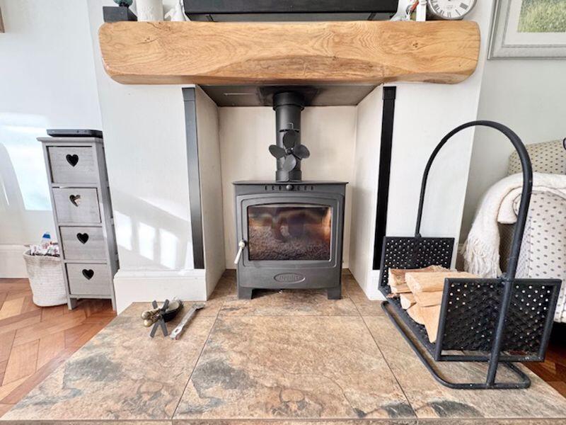 Multi fuel log burner