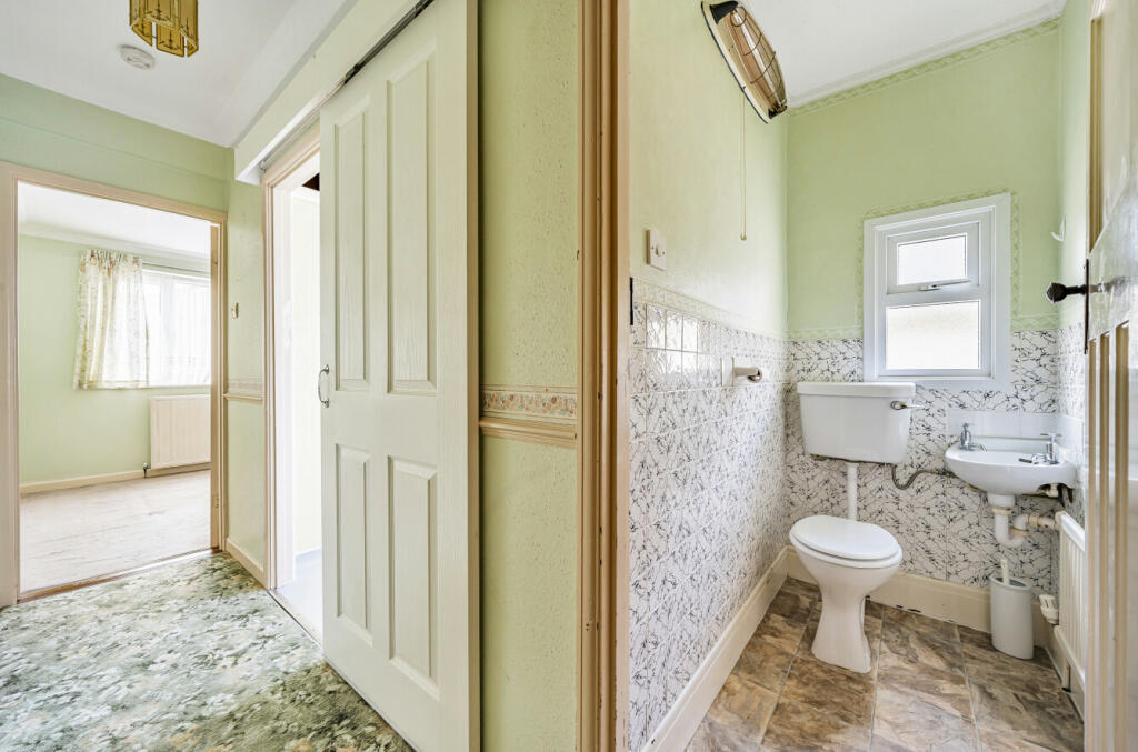 1154510 (12).jpg