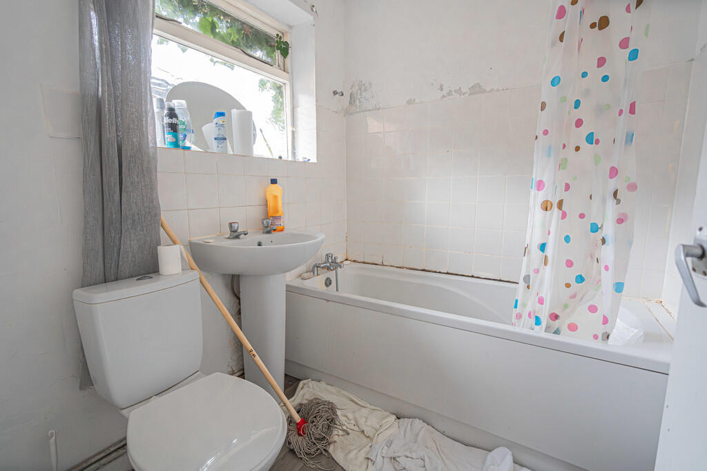 20251119-DSC07216...