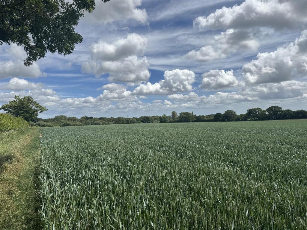 Land at Hinton Martell