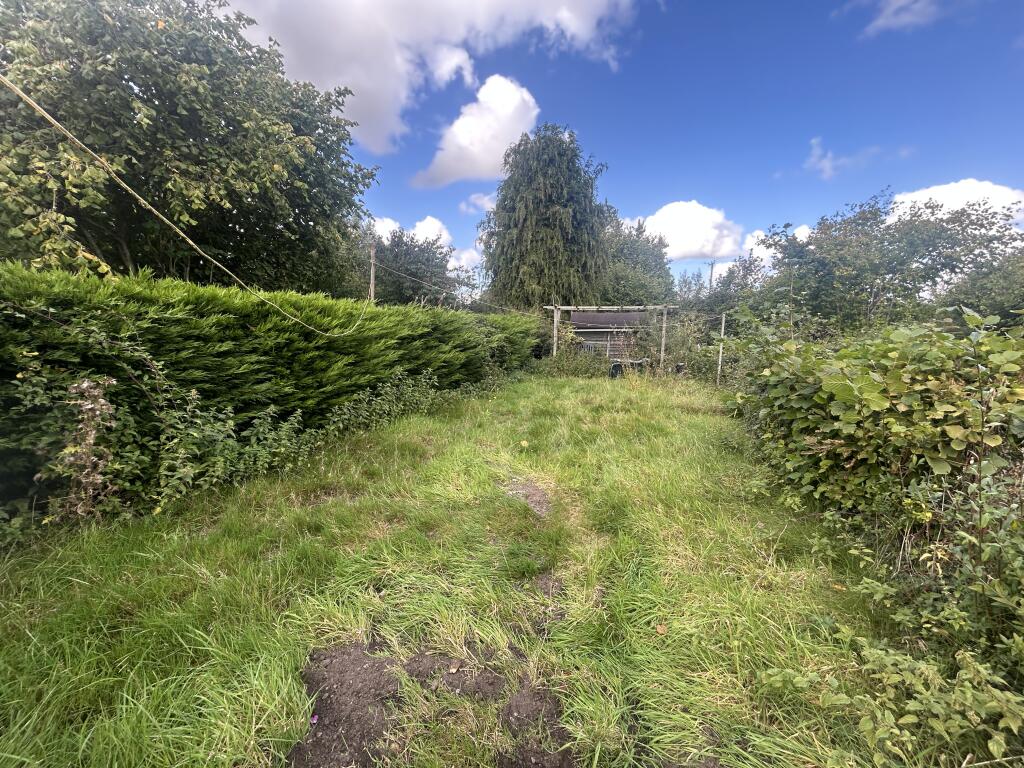 IMG 9237 T202509230946.jpg