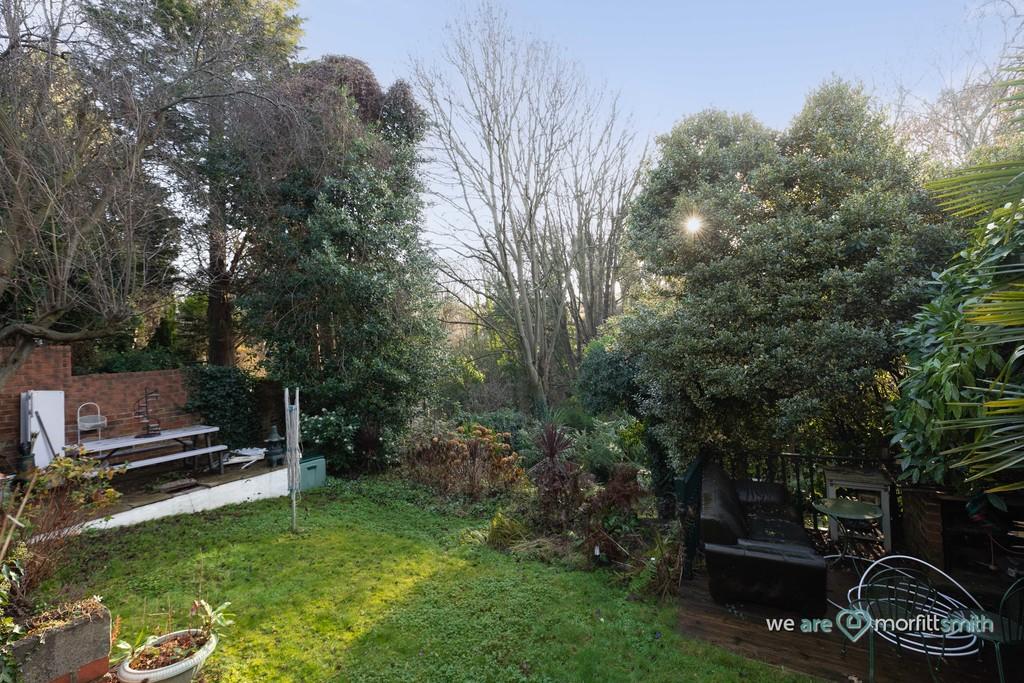 Back Garden