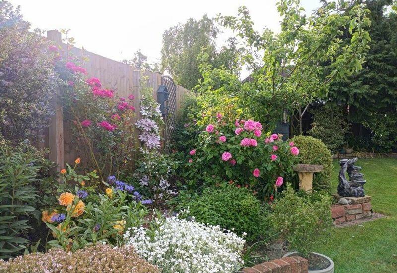 Photo 29