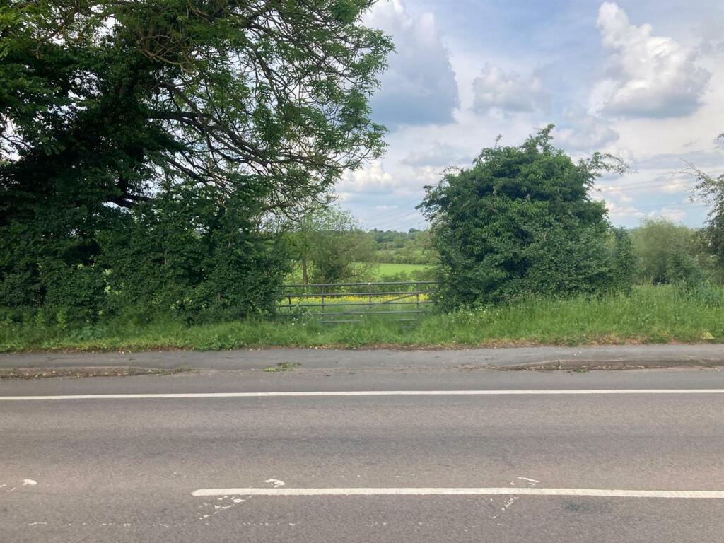 WhatsApp Image 2024-08-08 at 17.17.32 (1).jpeg