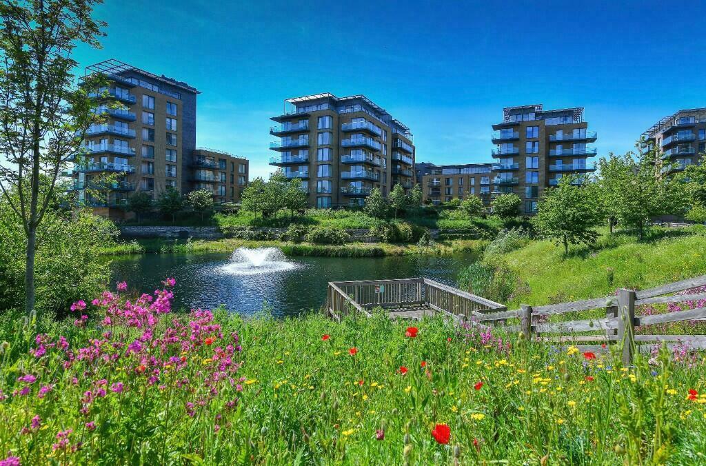 Cator Park