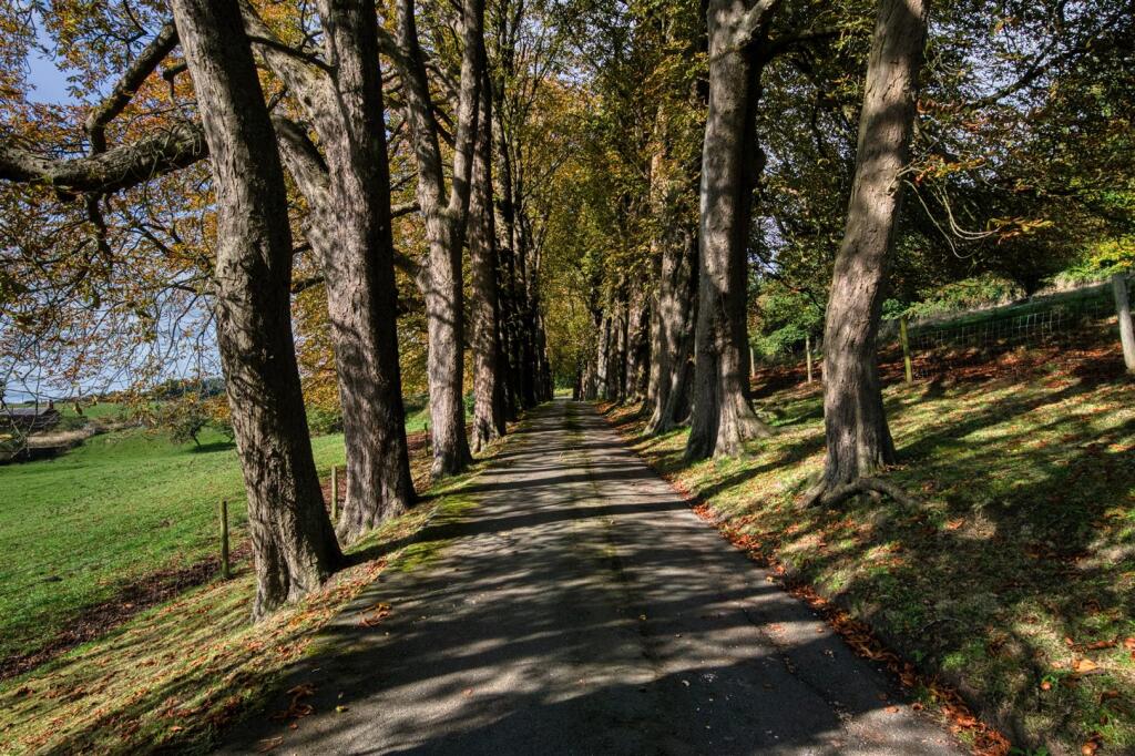 Saxton Mee  12a Sydnope Hall 0054.jpg