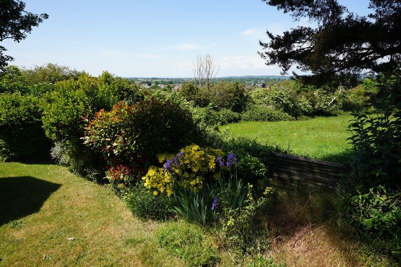 A delightful green outlook