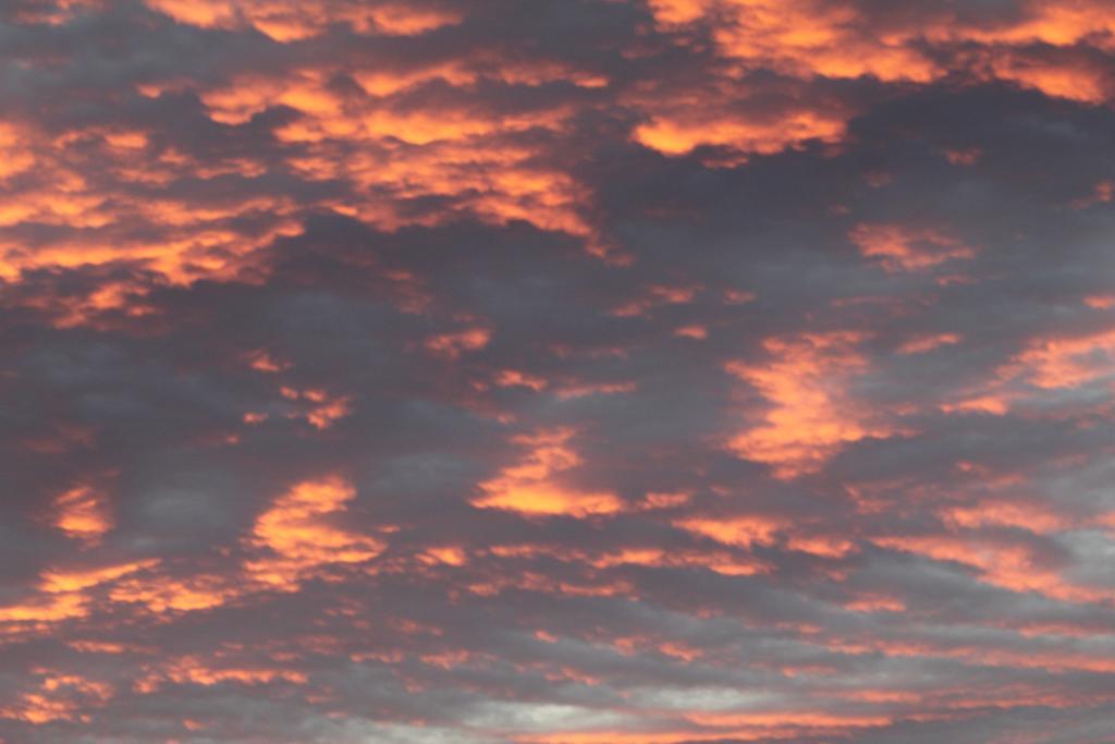 Beautiful night skies -taken at property