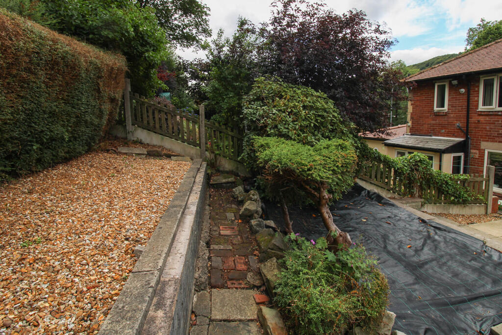 Rear Patio