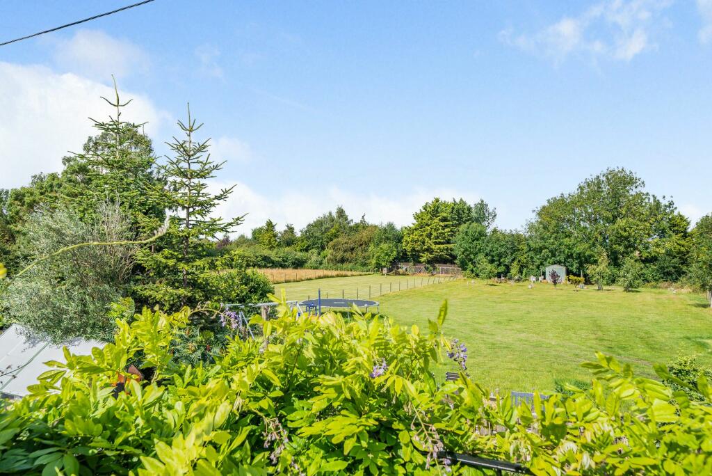 Garden (4)