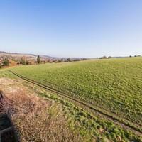 1de4ac87-24bd-4309-b10c-0f50df8980c7 - Copy.jpg