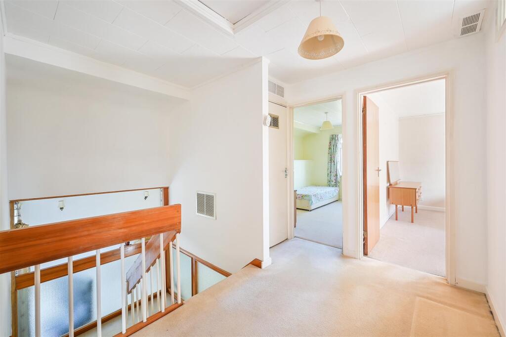 ROSE BUSHES, 15- (16).jpg