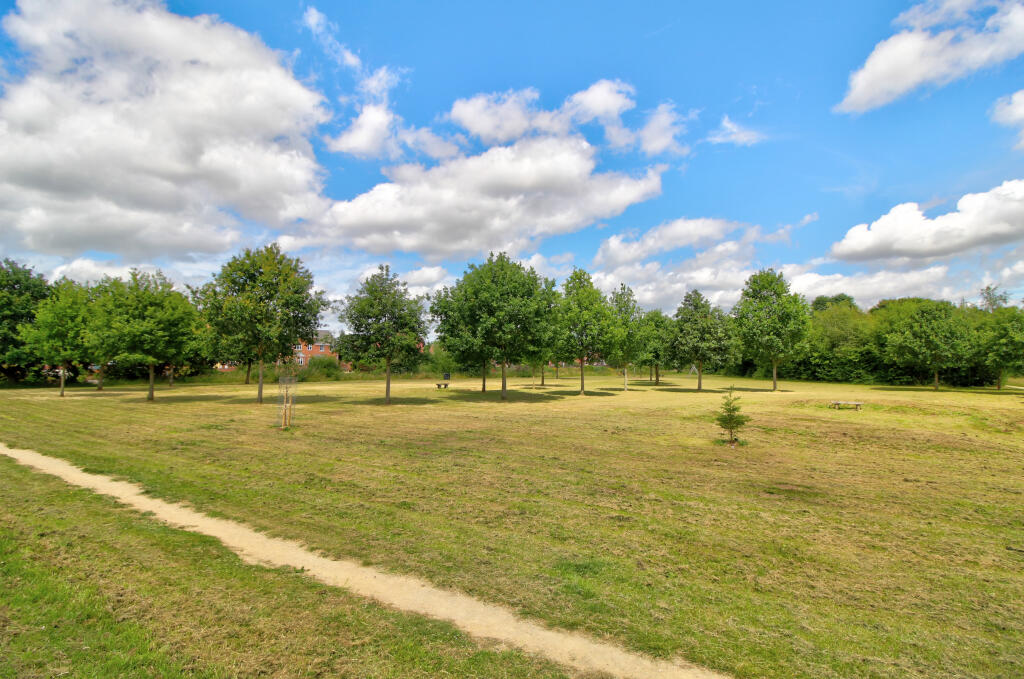 Playing fields