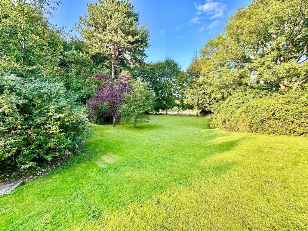 PHOTO-2024-09-17-21-38-44 (2).jpg