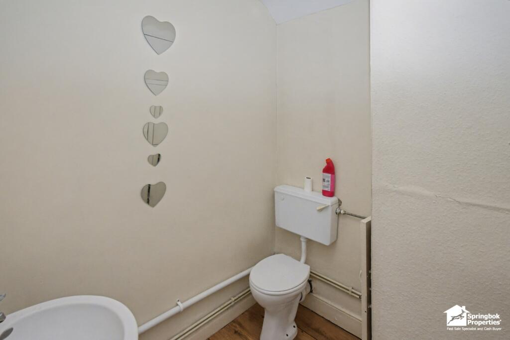 IMAGE 11