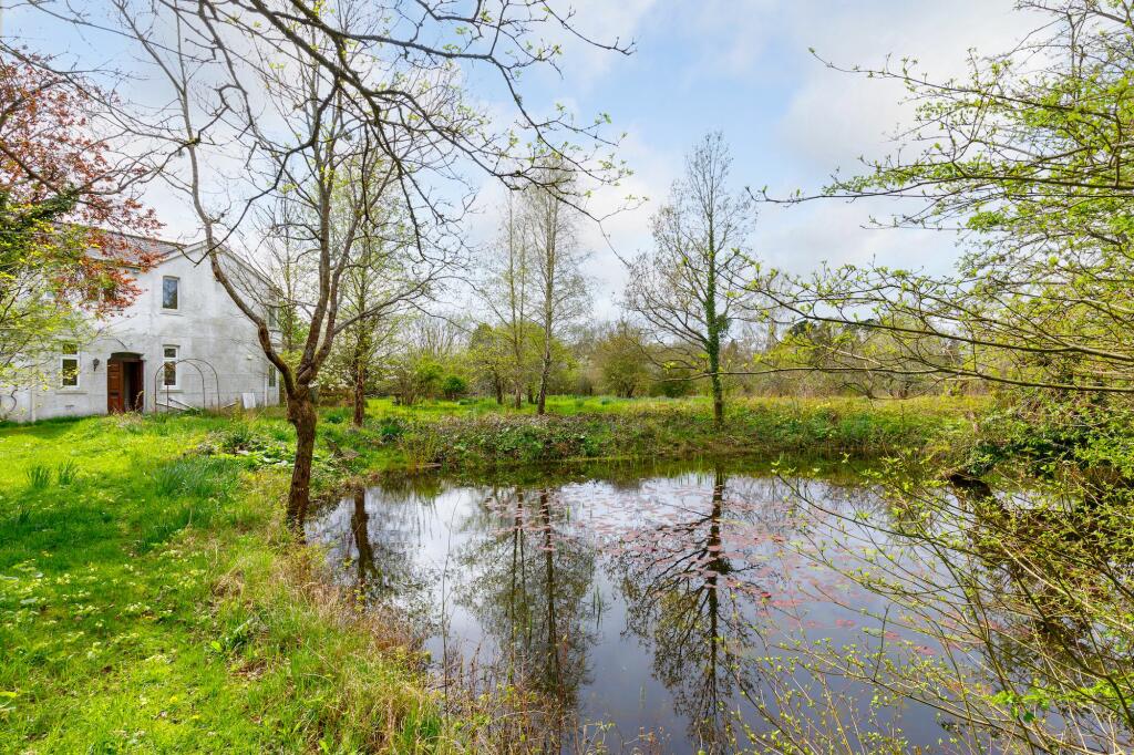 Pond