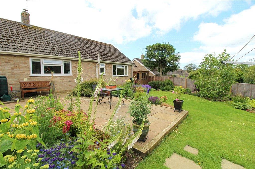 Garden in Summer