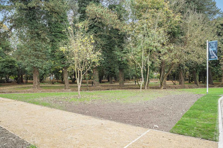 Farehurst Park - Woodland/Open