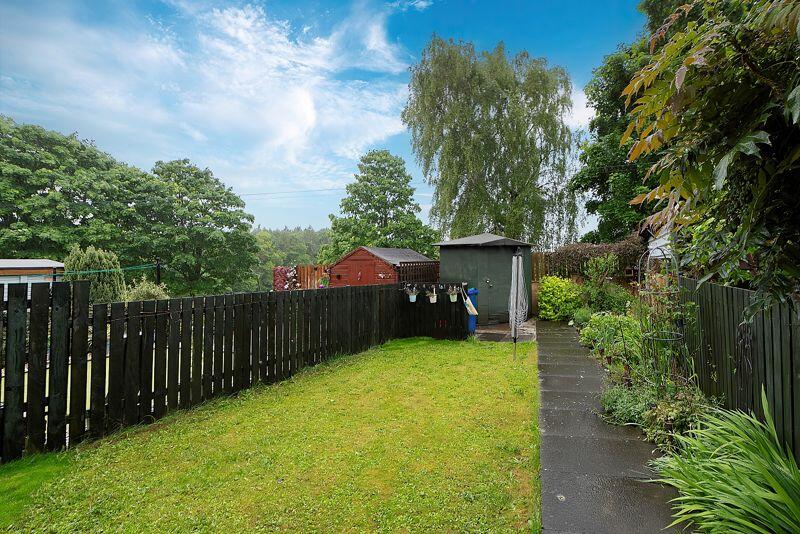 Back Garden