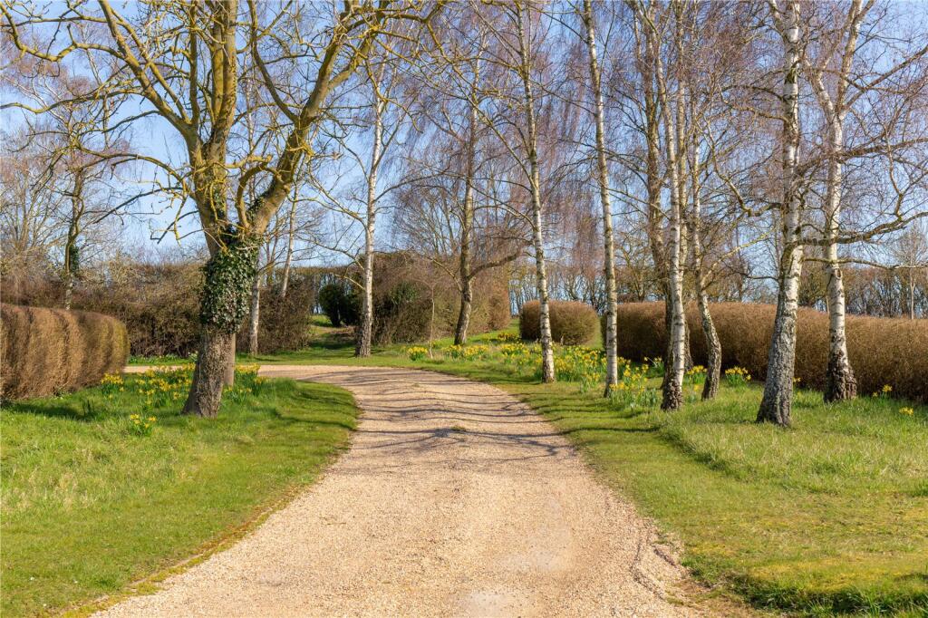 Driveway
