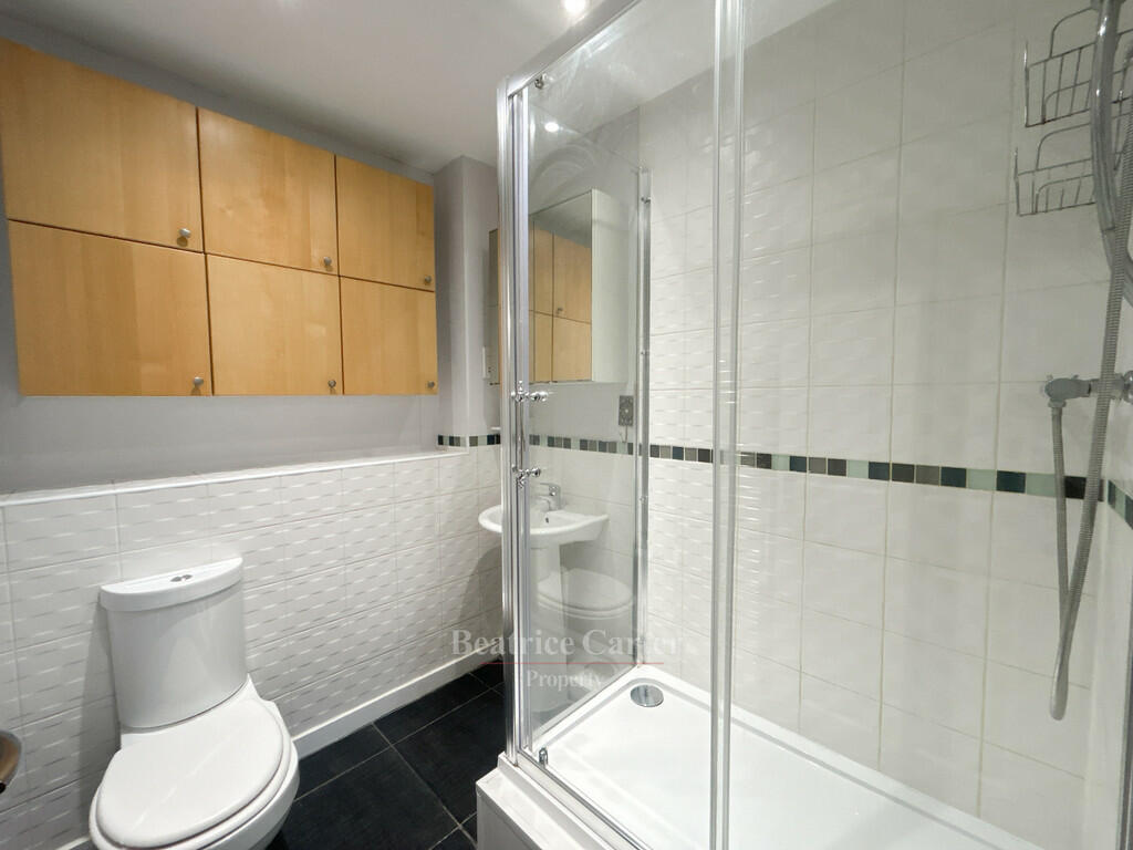 DJI_20241221_1155...