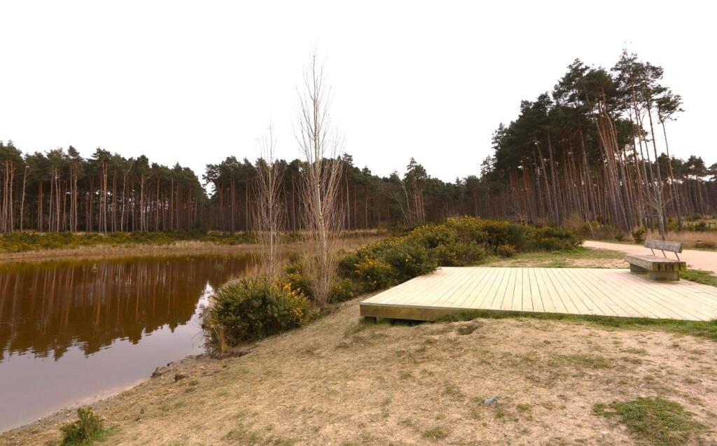 Lake