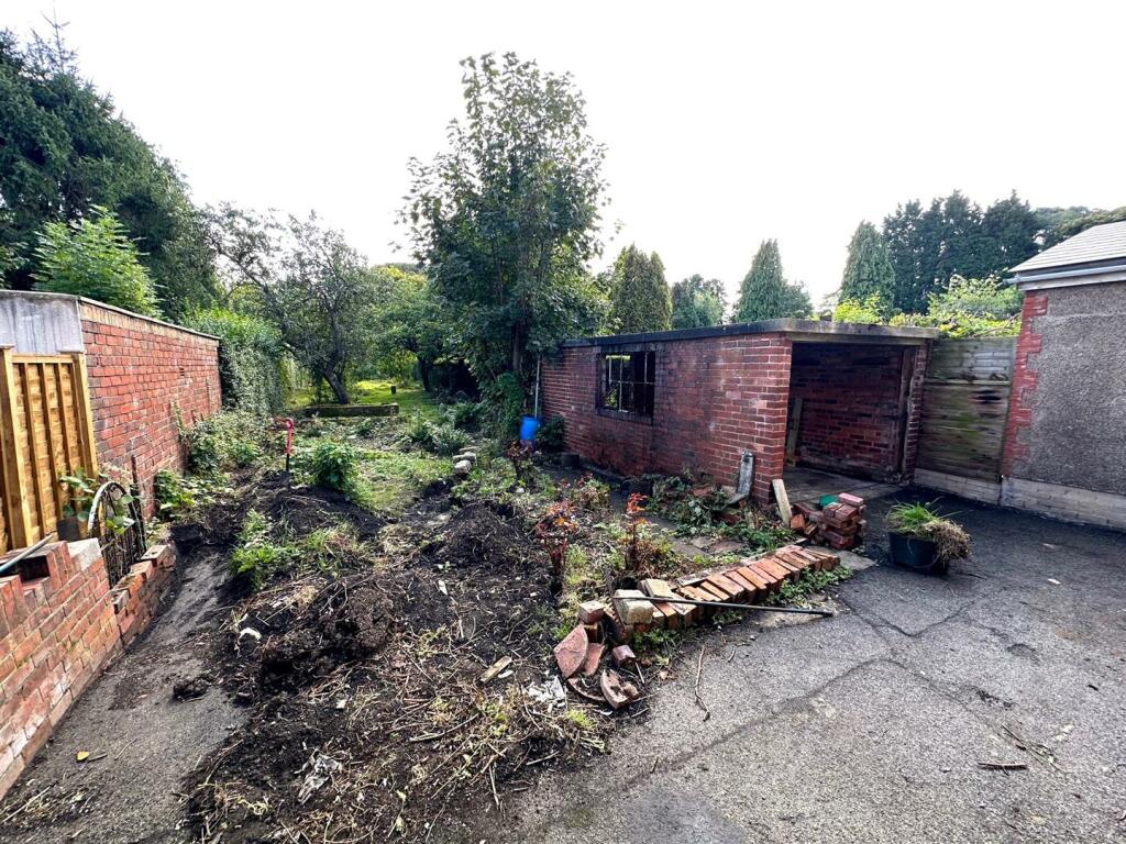 garden 1.jpg