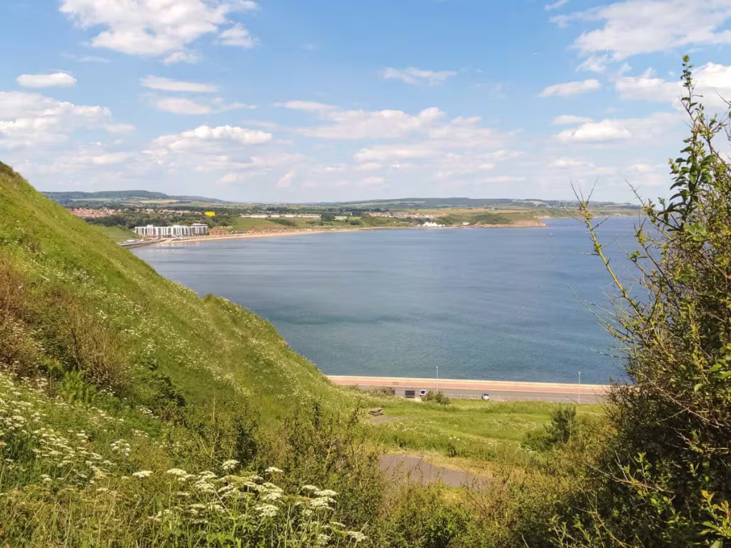 b7d58b44-dbc2-4b31-8764-d450ae97de49