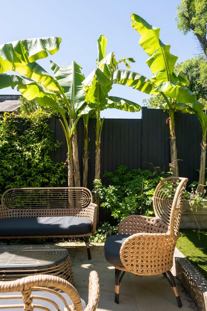 West facing garden